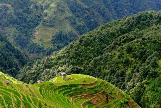 1665380840662270.png 飞鸽截图20221010134550.png