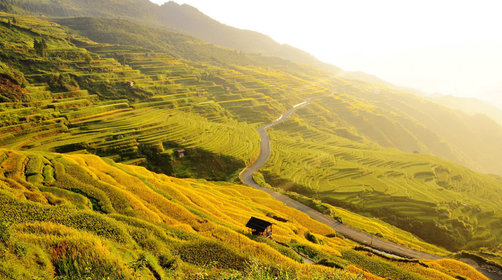 1665380863634823.jpg 79dabe98440e1ff94352e3ccf32ba945.jpg