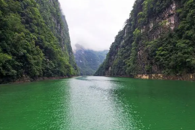 1665384325761971.png 飞鸽截图20221010144304.png