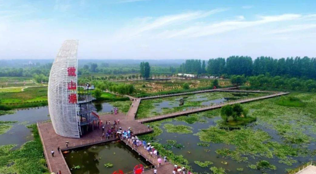 飞鸽截图20221011090136.png