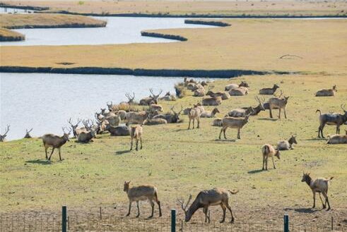 1665628954997917.png 飞鸽截图20221013104017.png