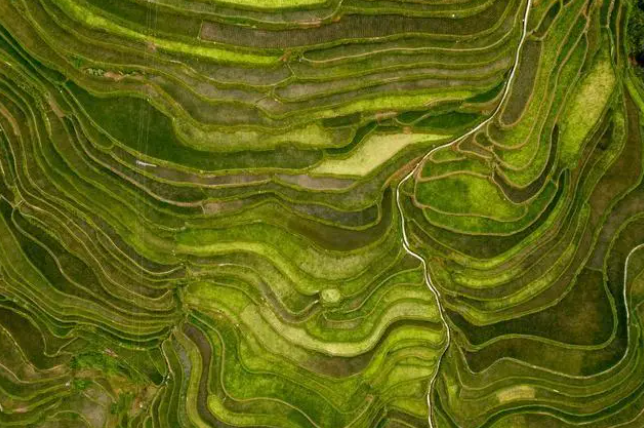 这里被誉为大地的裙摆，连外国人都羡慕不来的美景，就在贵州