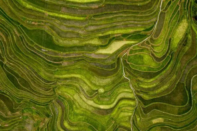 这里被誉为大地的裙摆，呢连外国人都羡慕不来的美景，就在贵州