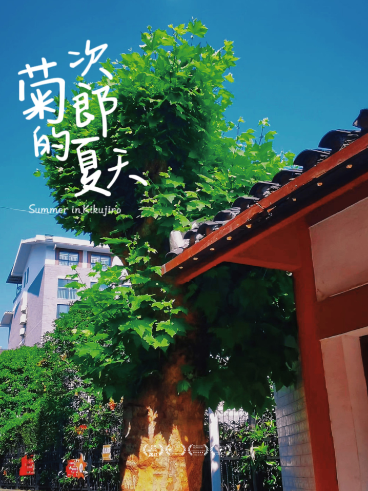 2022遵义周边带孩子那里好玩，遵义适合孩子玩的地方，遵义吃喝玩乐攻略篇—遵义美食篇