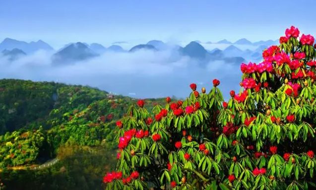 带孩子旅行就来贵州这些地方,同时也是成人的天堂,一定不会失望 带孩子旅行就来贵州这些地方,同时也是成人的天堂,一定不会失望