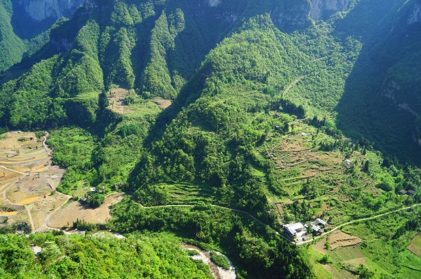 追寻的世外桃源——鹿院坪，揭秘大山深处的美 