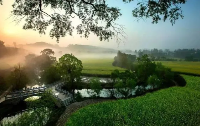 乡游黔中黔西市 解放村丨“柳岸水乡”春意浓，🧘‍♂️油菜花开踏春来