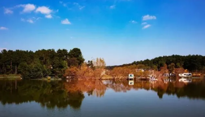乡游黔中黔西市 解放村丨“柳岸水乡”春意浓，油菜花开踏春来