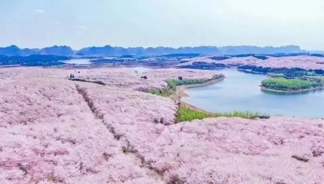 被外交天团频频点赞的贵州旅游，魅力何在？