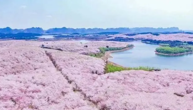 被外交天团频频点赞的贵州旅游🚵，魅力何在？