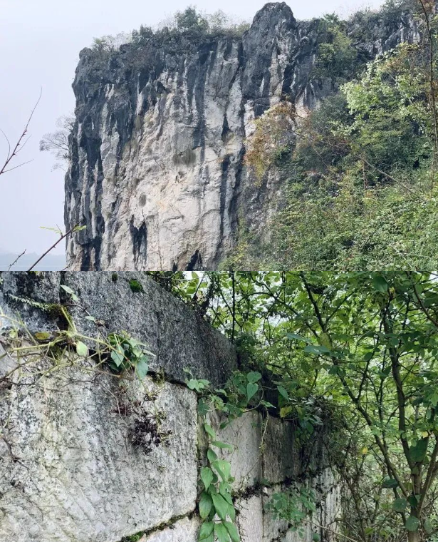 乡游黔中开阳县 田坎村丨人间万事消磨季，又到一年煮茶时