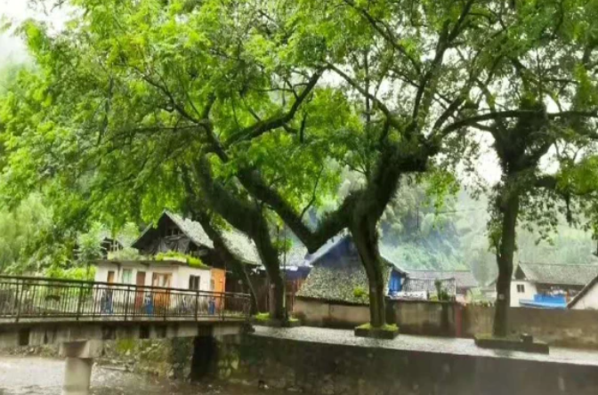 乡游黔中江口县 快场村丨山上是仙境，山下是桃源