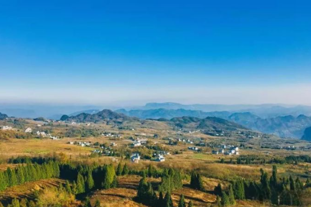 乡游黔中正安县 坪生村丨春日已至,这个村子准备扬“茗”立万 乡游黔中正安县 坪生村丨春日已至,这个村子准备扬“茗”立万