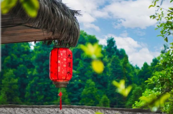 乡游黔中正安县 坪生村丨春日已至,这个村子准备扬“茗”立万 乡游黔中正安县 坪生村丨春日已至,这个村子准备扬“茗”立万