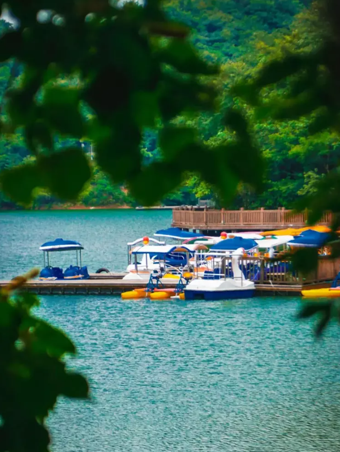 乡游黔中正安县 坪生村丨春日已至,这个村子准备扬“茗”立万 乡游黔中正安县 坪生村丨春日已至,这个村子准备扬“茗”立万