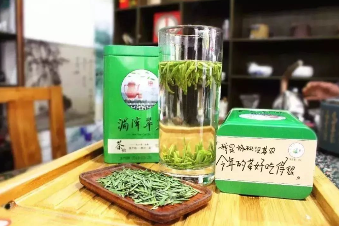 乡游黔中湄潭县 核桃坝村丨春风吹绿山岚，以茶之名，约你相伴