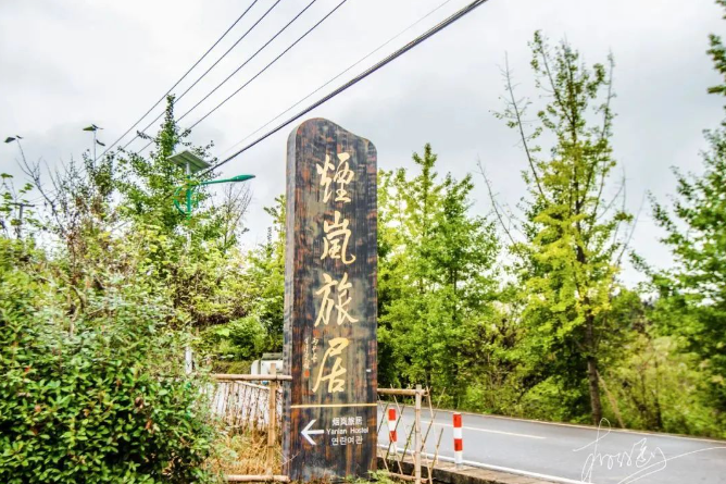 乡游黔中湄潭县 核桃坝村丨春风吹绿山岚，以茶之名，约你相伴