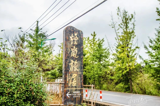 乡游黔中湄潭县 核桃坝村丨春风吹绿山岚嗯，🤽‍♀️以茶之名呀，💬约你相伴