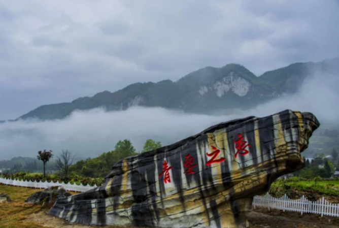 乡游黔中百里杜鹃 龙塘村丨翩然花海间🫁，呢藏着一个“酒香村”