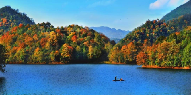 乡游黔中百里杜鹃 龙塘村丨翩然花海间，藏着一个“酒香村”