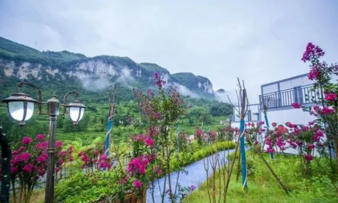 乡游黔中百里杜鹃 龙塘村丨翩然花海间，藏着一个“酒香村”