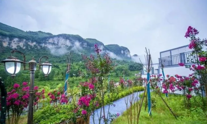 乡游黔中百里杜鹃 龙塘村丨翩然花海间，🧑‍🔧藏着一个“酒香村”