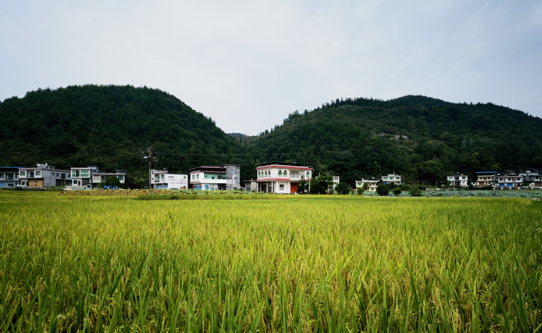 沿河晓景乡:依托自然资源禀赋 推动美丽乡村建设 沿河晓景乡:依托自然资源禀赋 推动美丽乡村建设