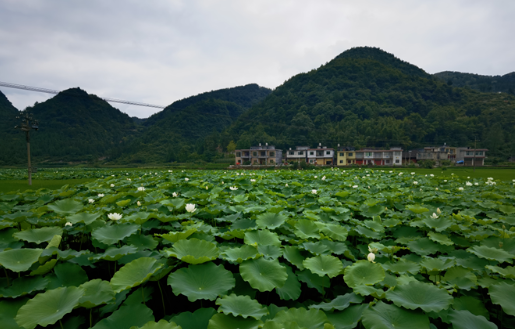 沿河晓景乡:依托自然资源禀赋 推动美丽乡村建设 沿河晓景乡:依托自然资源禀赋 推动美丽乡村建设