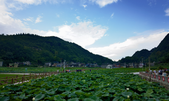 沿河晓景乡:依托自然资源禀赋 推动美丽乡村建设 沿河晓景乡:依托自然资源禀赋 推动美丽乡村建设