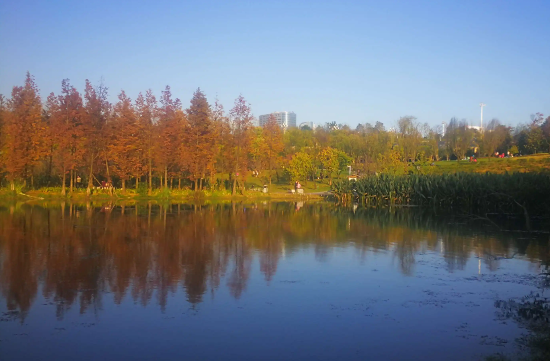 秋意浓，安排一场贵州之旅