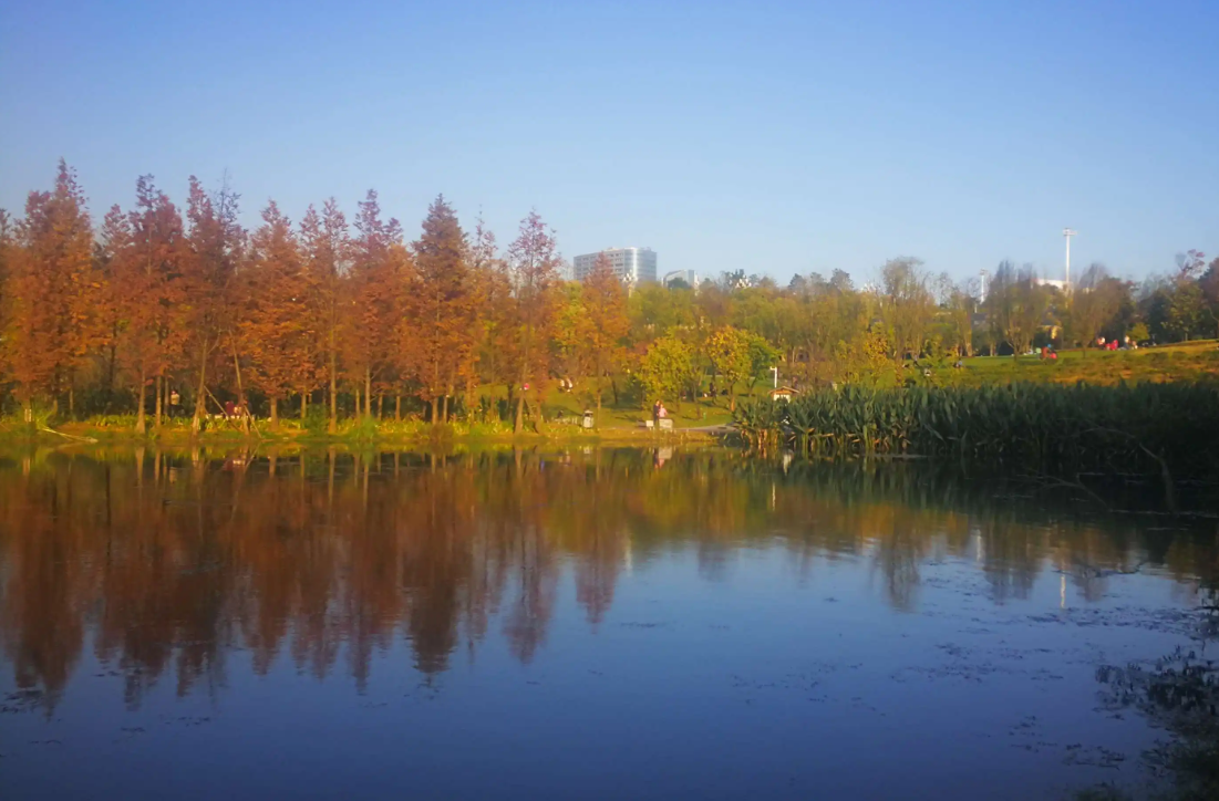 秋意浓呢，呀安排一场贵州之旅