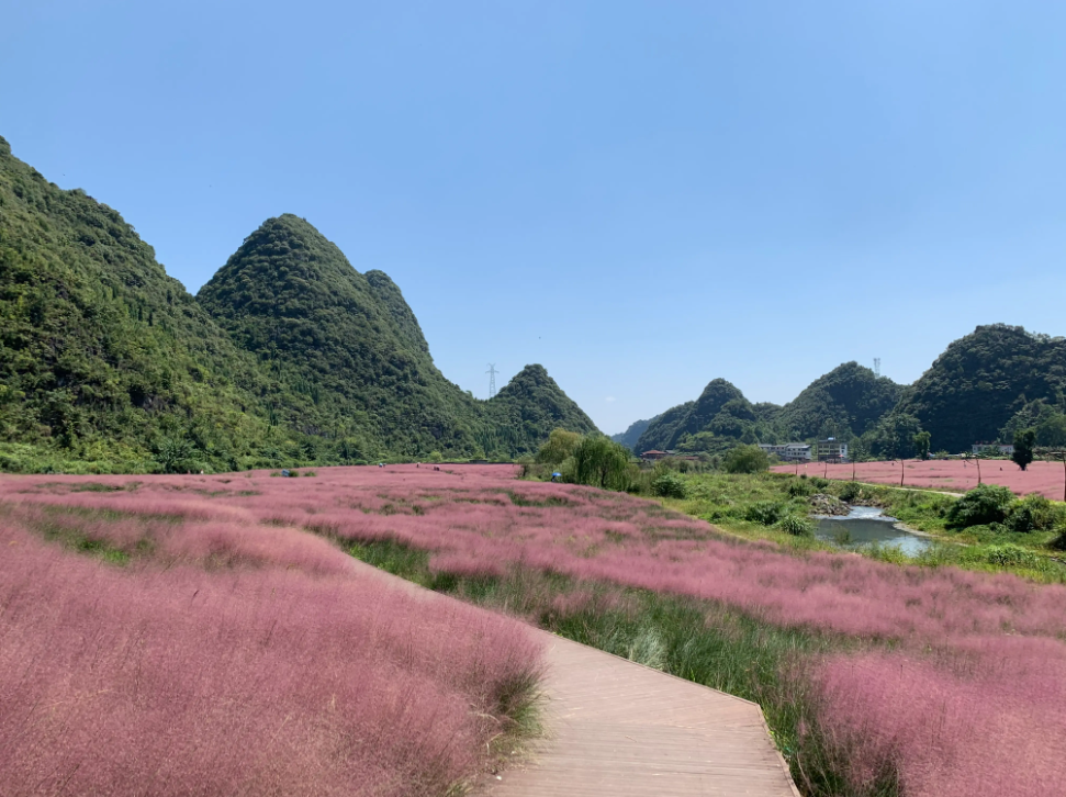 秋意浓呢，嗯安排一场贵州之旅