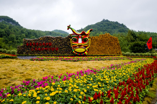 乡游黔中毕节市 永兴村丨百里杜鹃开花啦，森林花海等你来