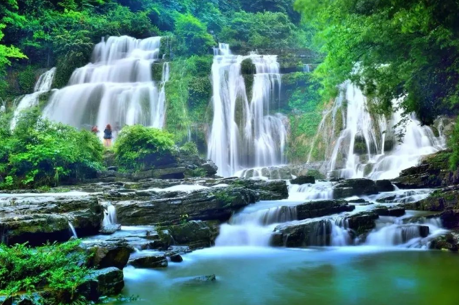 乡游黔中毕节市 永兴村丨百里杜鹃开花啦，🤹‍♀️森林花海等你来