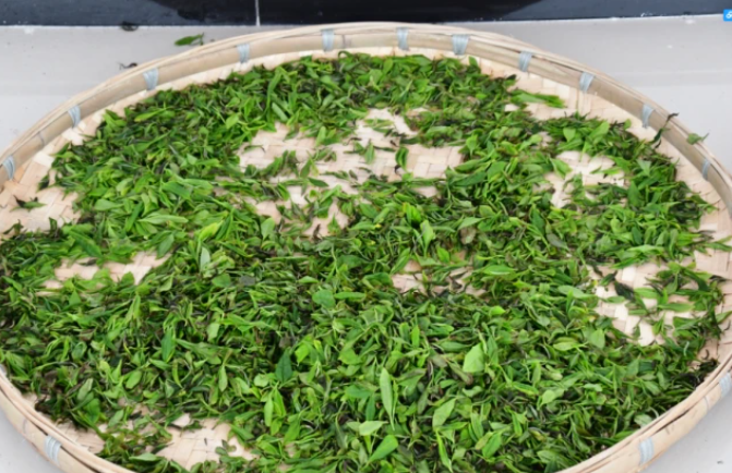 乡游黔中清镇市 芦荻哨村丨水光潋滟春色藏，农场遛娃正好