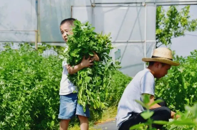 乡游黔中清镇市 芦荻哨村丨水光潋滟春色藏，农场遛娃正好