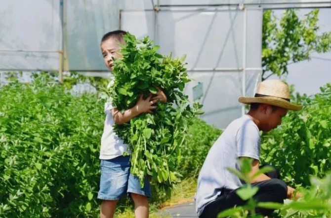 乡游黔中清镇市 芦荻哨村丨水光潋滟春色藏呢，农场遛娃正好