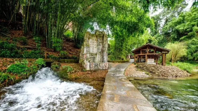 乡游黔中乌当区 陇脚村丨风动竹林，春到此处，一起收获绿意