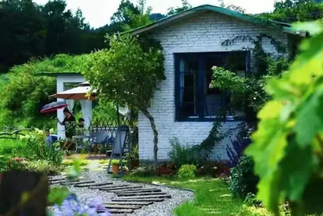 乡游黔中乌当区 陇脚村丨风动竹林，春到此处，一起收获绿意
