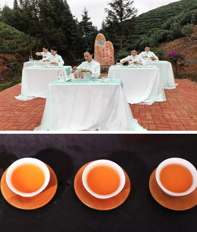 乡游黔中普安县 斗弹达吟社区丨布依春意，尽在一壶明前茶香