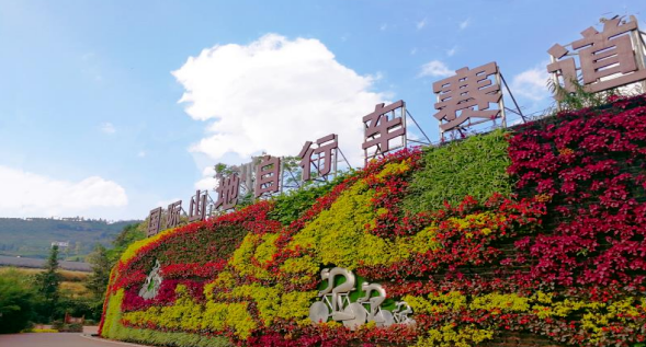 乡游黔中普安县 斗弹达吟社区丨布依春意，尽在一壶明前茶香