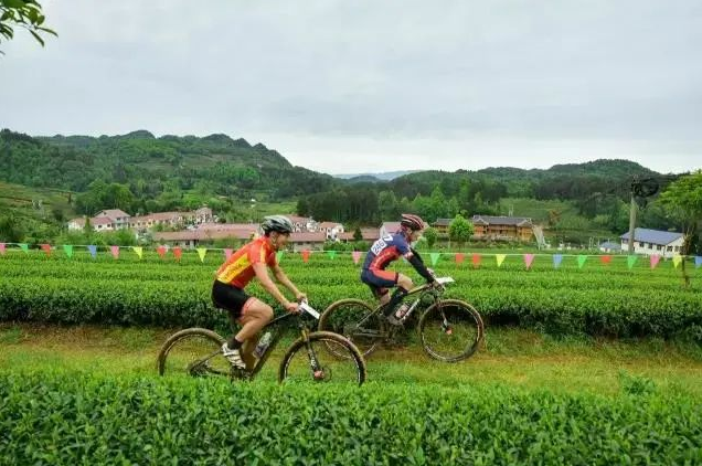 乡游黔中 余庆县 二龙村丨春风悄入乡，悠悠一盏茶香浓