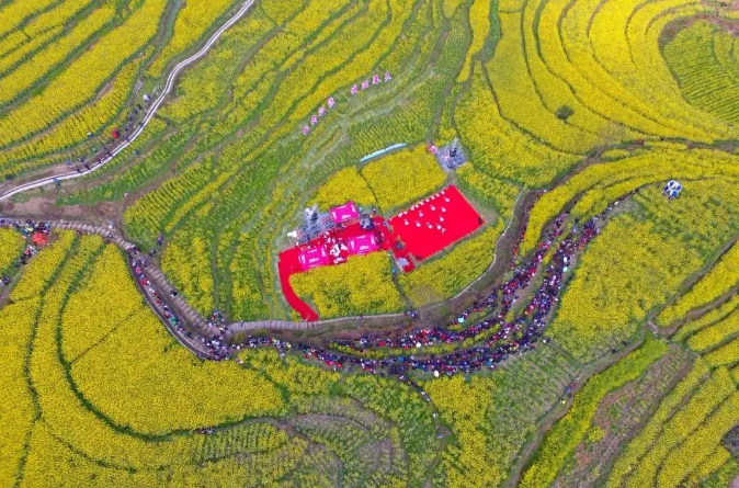 乡游黔中 余庆县 二龙村丨春风悄入乡，悠悠一盏茶香浓