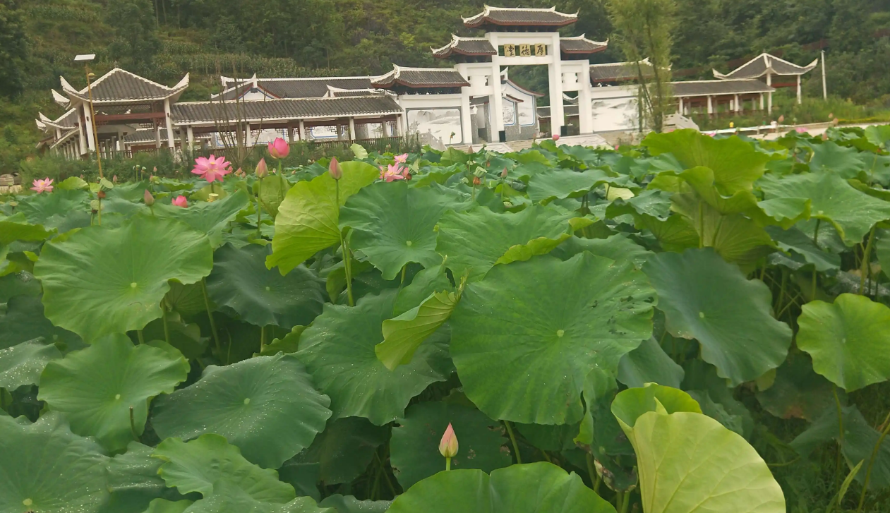 贵州安顺市西秀区十大景区有哪些？自驾游如何安排行程？