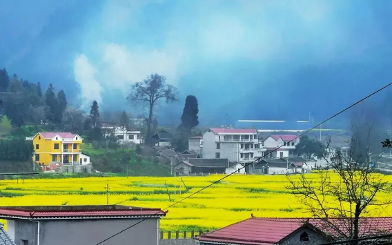 乡游黔中碧江区 克兰寨村丨穿越油菜花海，呢漫步春意古寨