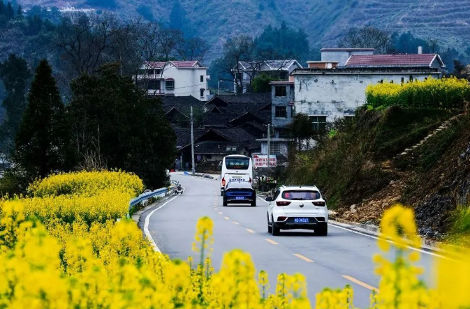 乡游黔中碧江区 克兰寨村丨穿越油菜花海，呢漫步春意古寨