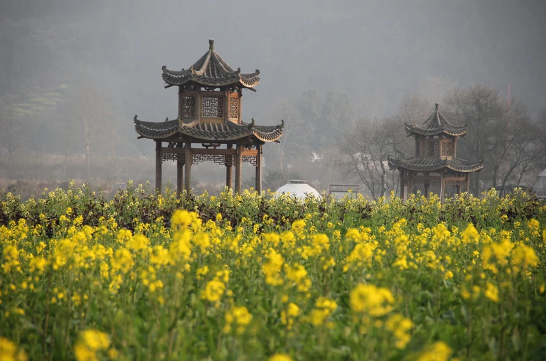 2022春游必去打卡地天洞景区，七彩油菜花等您来！