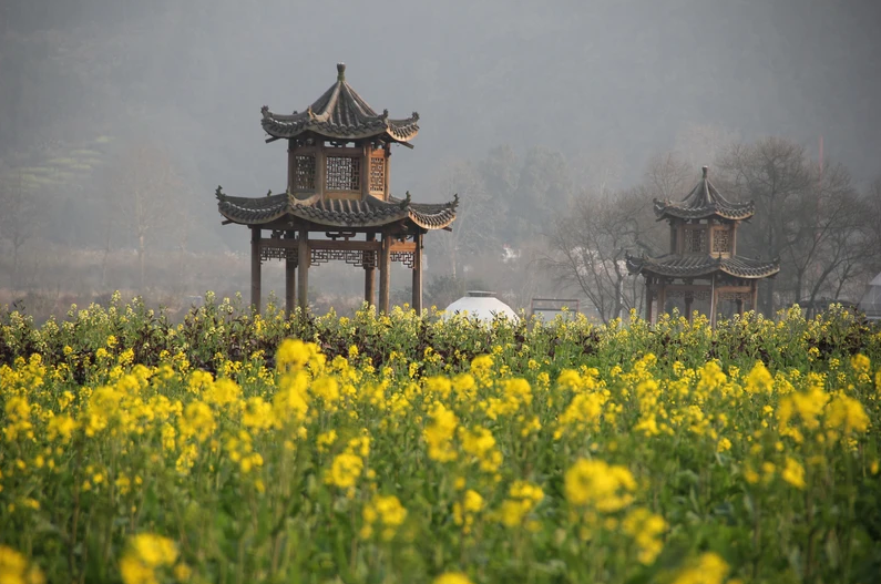 2022春游必去打卡地天洞景区呀，🥴七彩油菜花等您来！