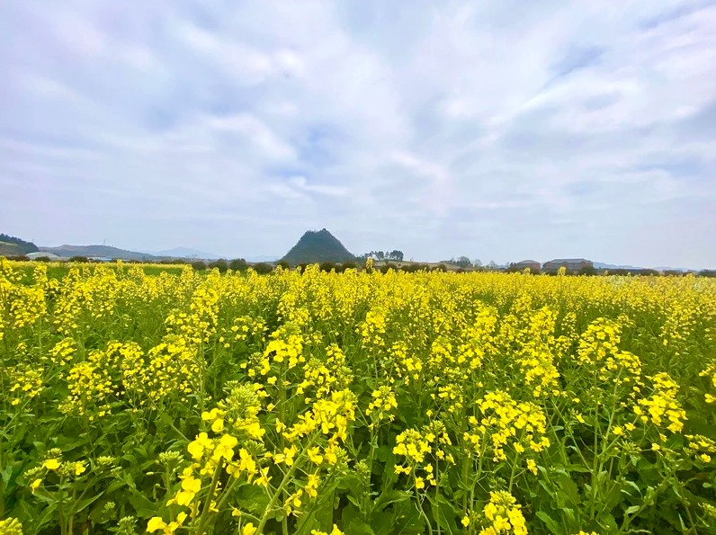 2022春游必去打卡地天洞景区，呀七彩油菜花等您来！