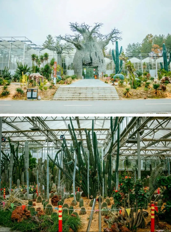 乡游黔中新蒲新区 沙滩村丨择一处书香之地，将生活幻化成诗